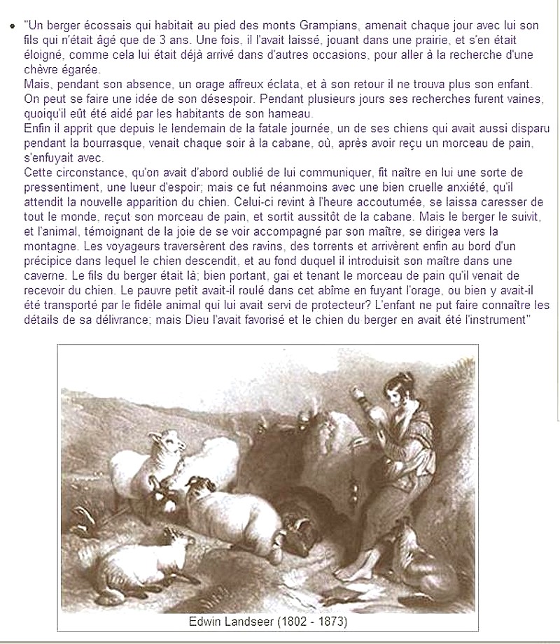 Dossier: HISTOIRE du colley Sans_t15