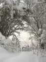 Un BP dans la neige... pas pratique... Img_5816