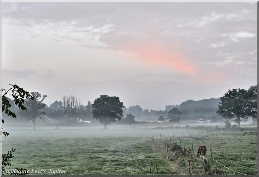 Brume ou brouillards... - Page 3 25091311