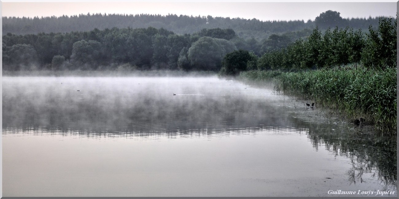 Brume ou brouillards... - Page 2 29081315