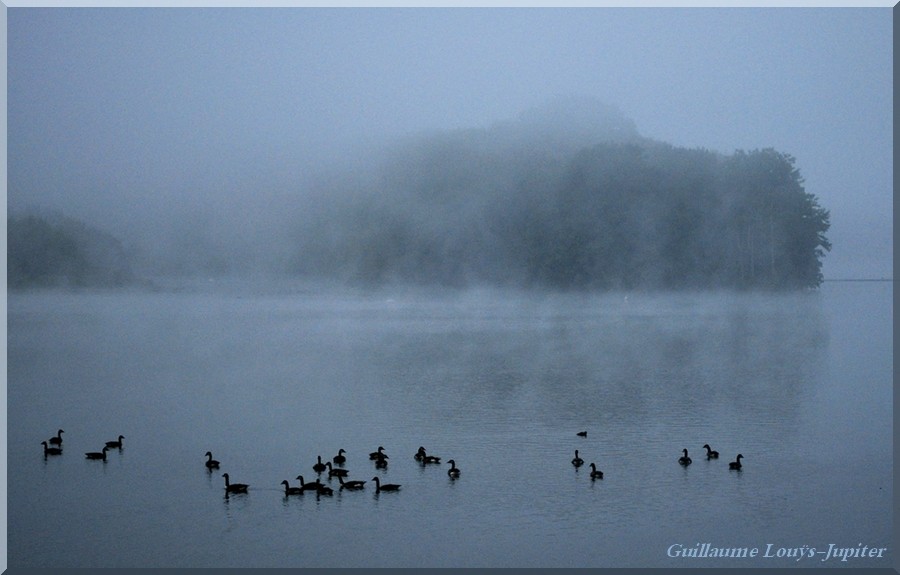 Brume ou brouillards... - Page 2 30081311