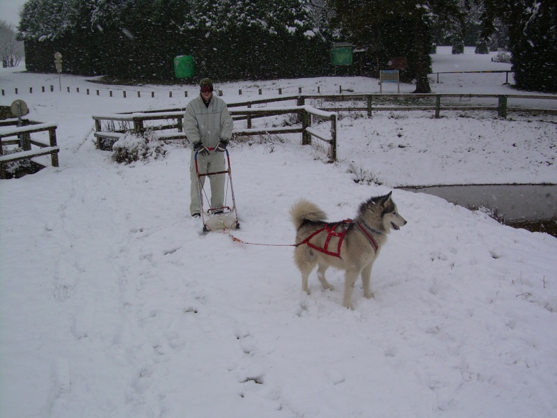 1ère neige dans l'Aude! Neige_14