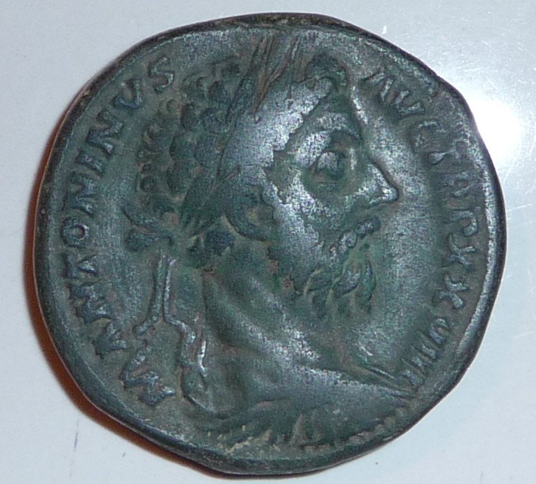 romaine identifiée mais pas entierement P1000110