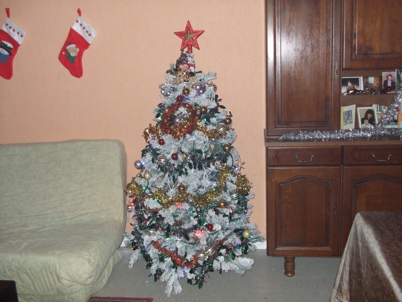 vous faites votre sapin quand ? Dscf3023