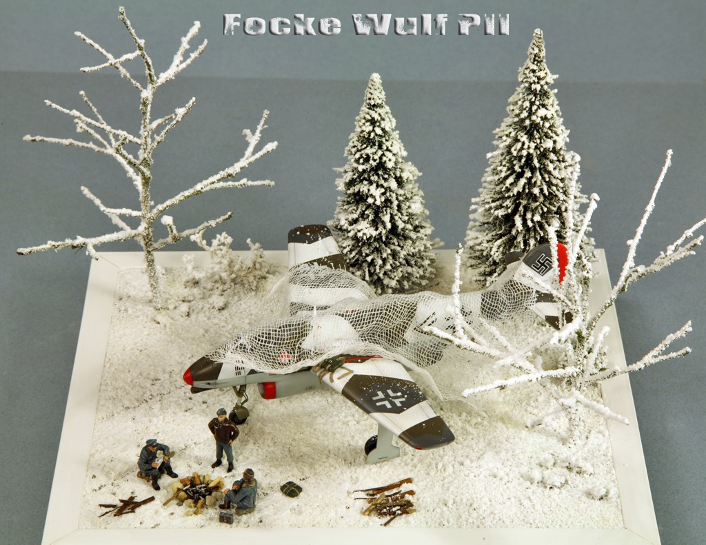 Focke Wulf Fw PII (Projekt II) [1/72 - Special Hobby] Img_7944