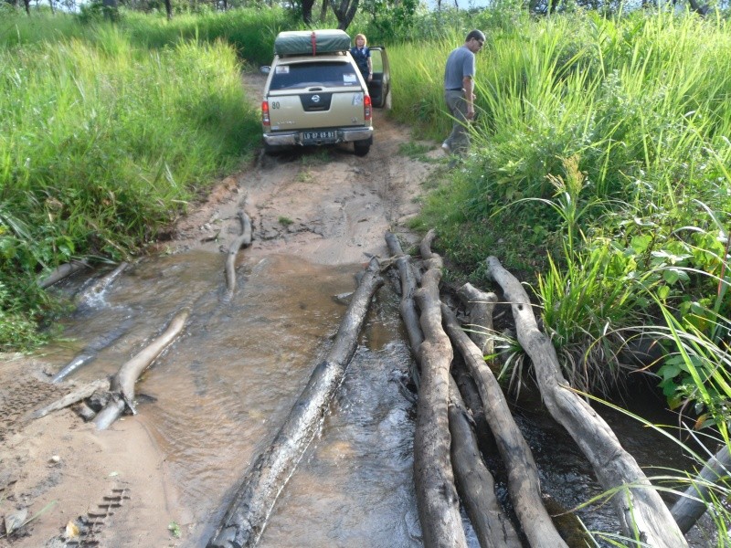 Fazenda VONDO - Conda - Kuanza Sul - Página 3 20110213