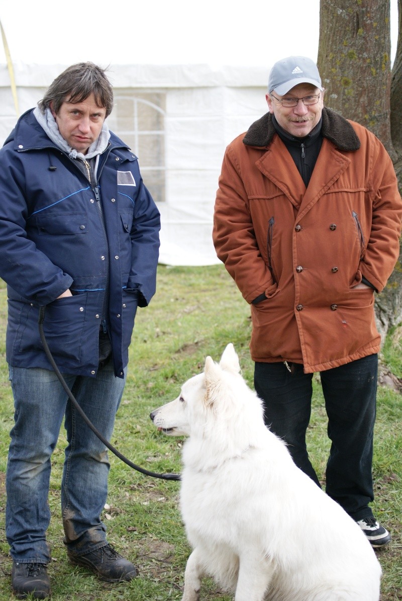 CONCOURS OBEISSANCE  FRENEUSE le 17 Mars 2013 Dsc06513