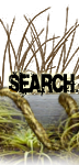 Rechercher