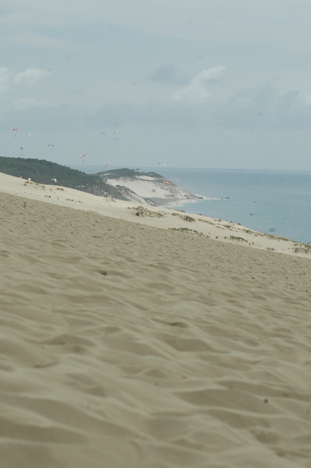 "LA" dune... Dsc_5930