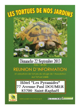 Réunion d'information de l'association "la tortue soleil" du Var St_rap14