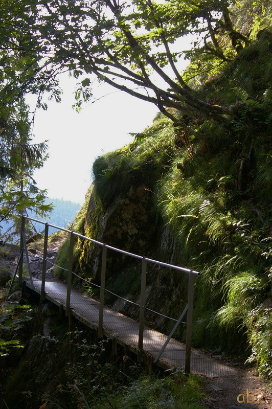 Du Col de la Schlucht au Hohneck, via le Sentier des Roches ( 2013 ) Sdr110