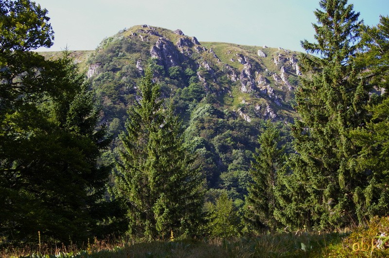 Du Col de la Schlucht au Hohneck, via le Sentier des Roches ( 2013 ) Sdr1710