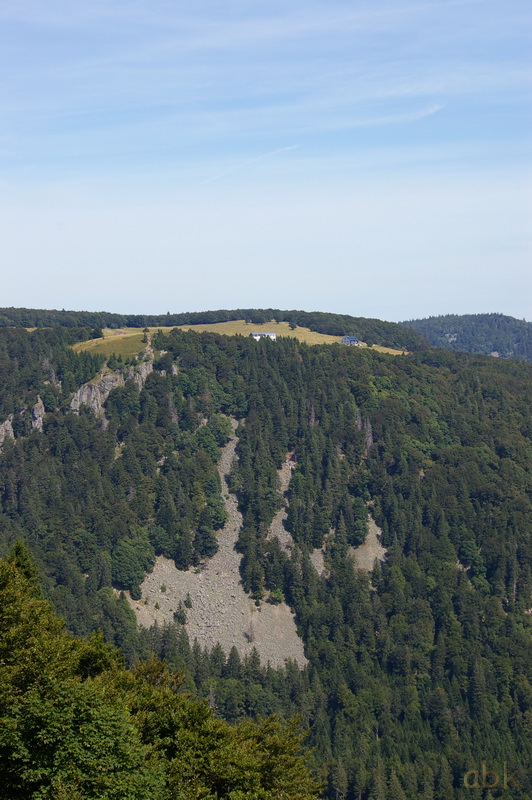 Du Col de la Schlucht au Hohneck, via le Sentier des Roches ( 2013 ) Sdr2010