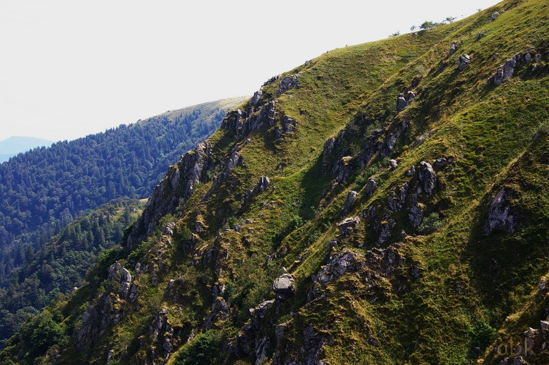 Du Col de la Schlucht au Hohneck, via le Sentier des Roches ( 2013 ) Sdr2510