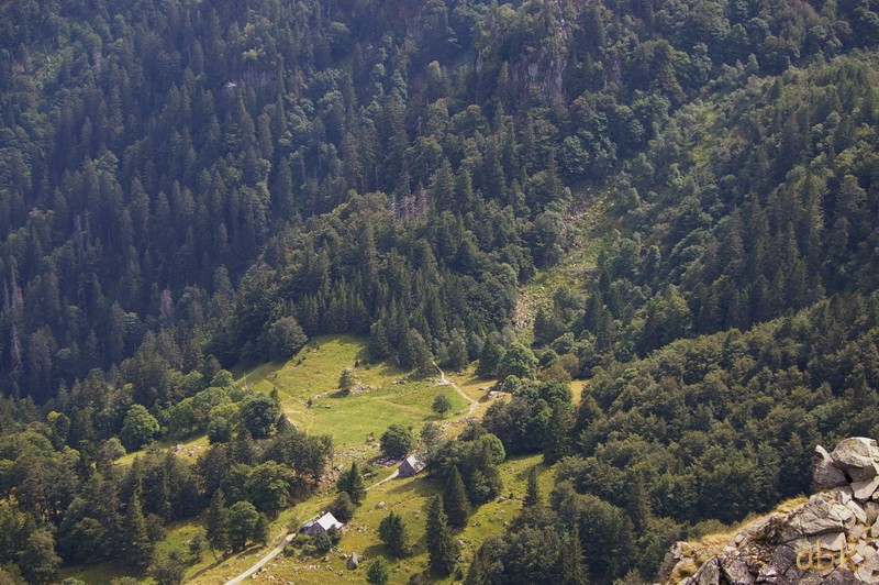 Du Col de la Schlucht au Hohneck, via le Sentier des Roches ( 2013 ) - Page 2 Sdr2910