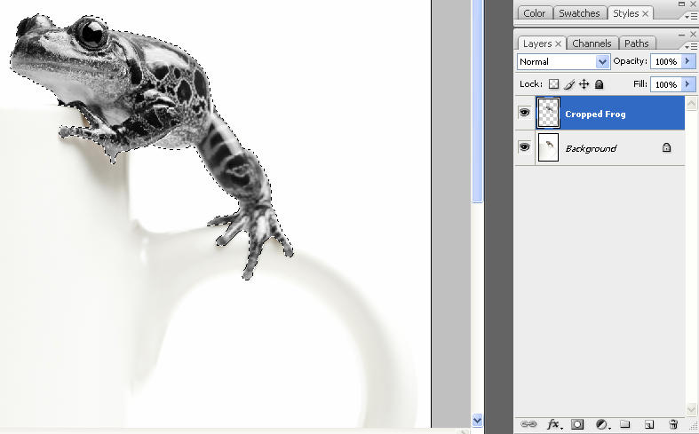Adobe Photoshop Tutorial No. 5 : Choco Frog 210