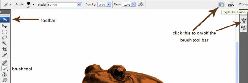 Adobe Photoshop Tutorial No. 5 : Choco Frog 710