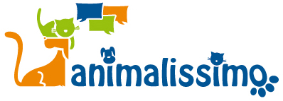 Animalissimo - Caninement vôtre!!