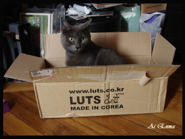 l'arrivée de vos poupées (box opening) Lumo-a11