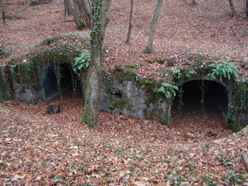 Le fort Driant (festung Metz) Dsc08535