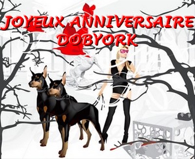 bon anniv' dobyork Doberm17