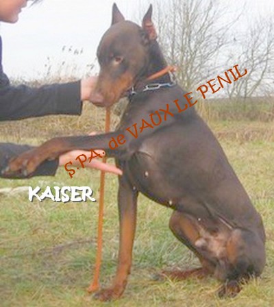 KAISER marron (77) Kaiser12