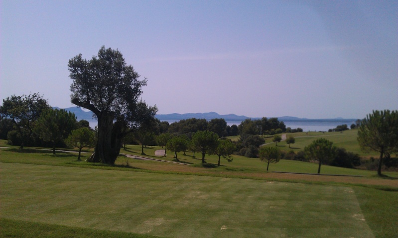 Golf d'Alcanada Majorque Imag0210