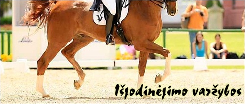 Reklamos lenta Isjodi11