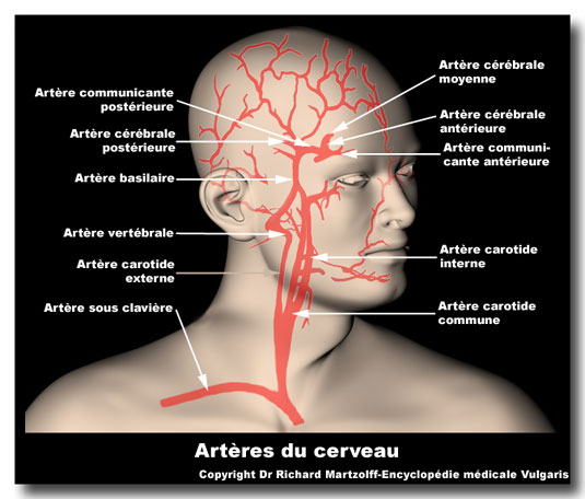 examen neurologique-vido Cervea10