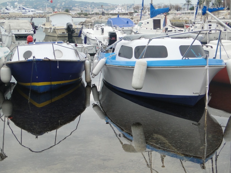 QUELQUES  BATEAUX QUI M'ONT PLU .................... Dsc09016