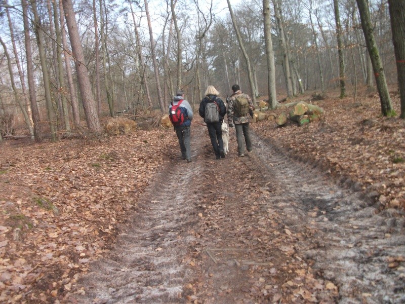 Randonnée et pic nic en foret de fontainebleau le 30 Janvier 2011 - Page 6 Le_30_11