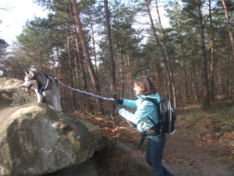 Randonnée et pic nic en foret de fontainebleau le 30 Janvier 2011 - Page 6 Le_30_16