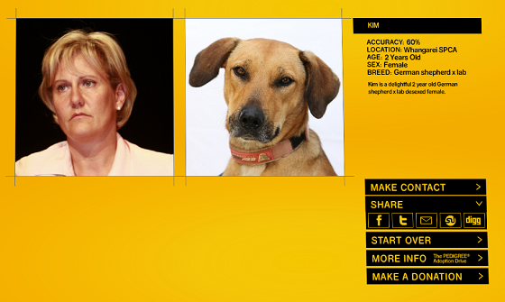 Un logiciel pour trouver le chien qui vous ressemble ! 20352910