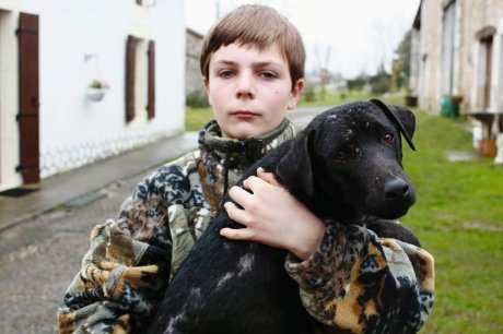 Saint-Perdoux (24) : un chien de chasse mort à cause de produits chimiques ?  96274410