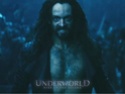 Underworld Rise of the Lycans Wallpapers U3_luc11