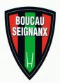 POST des Reichel B & Balandrade (saison 2008/2009) - Page 3 Logo-b11