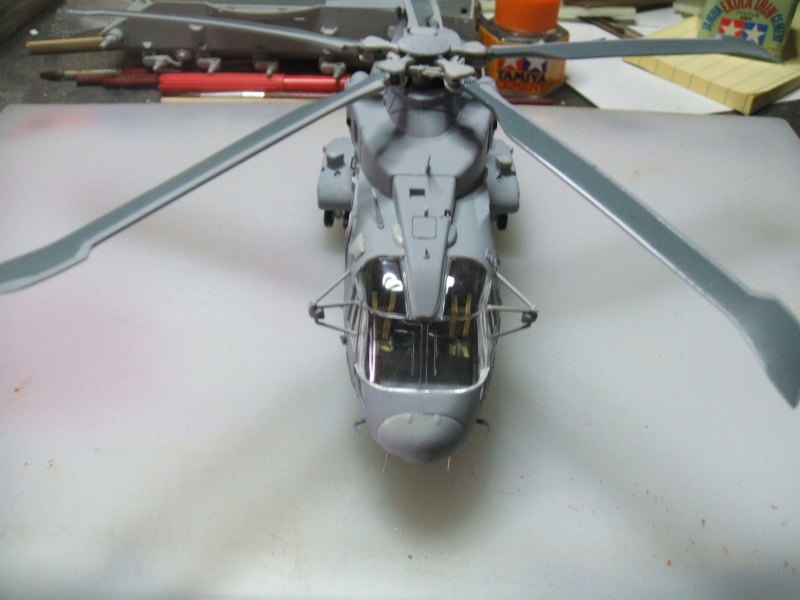 AW 101 Meriln TTI - kit Italeri 1295 1/72 (unimatrix0) Dscf2618