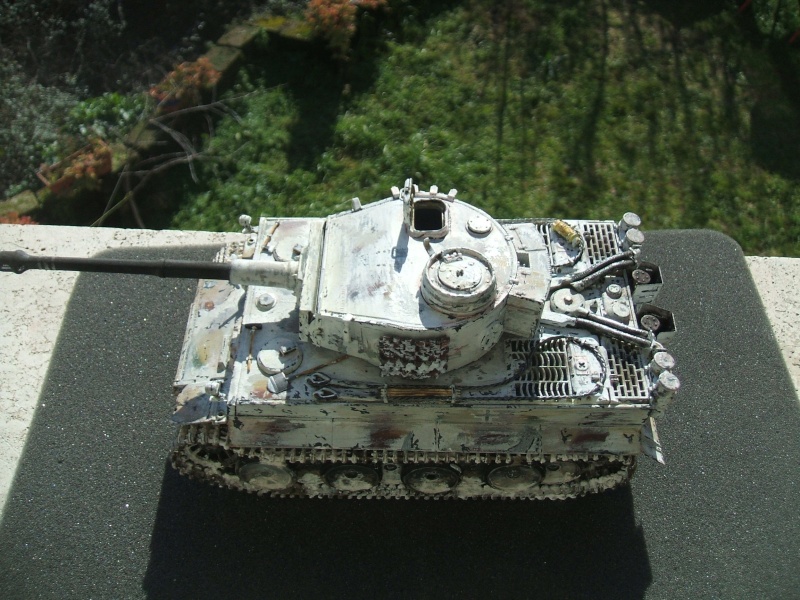 Carro Tigre I Ausf. e/h1 - kit Italeri n.286 (unimatrix0) ***TERMINATO*** Dscf3010