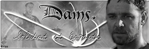 salle des Bannières - Page 5 Dams110