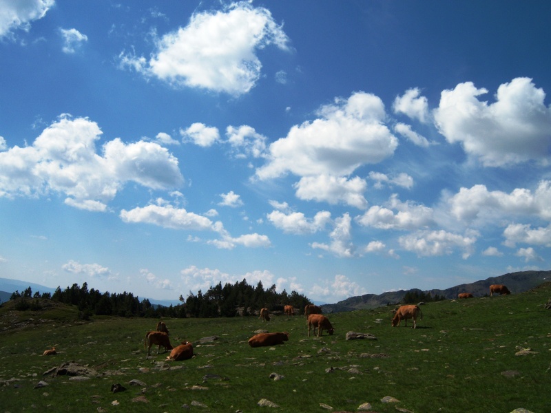 Rando pyrénées - Le tour de la réserve d'Orlu en autonomie (15-17/08/13) Photo137