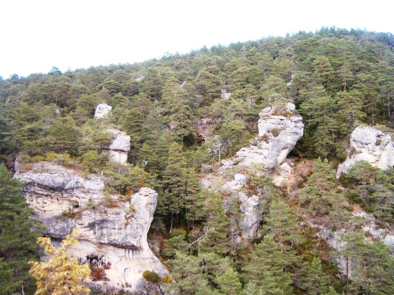 Rando Millau - La Puncho d'Agast (15/02/13) Photo_39