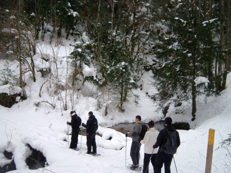 Rando raquette - Le Nord du Vercors (28/02/13 - 03/03/13) Photo_57