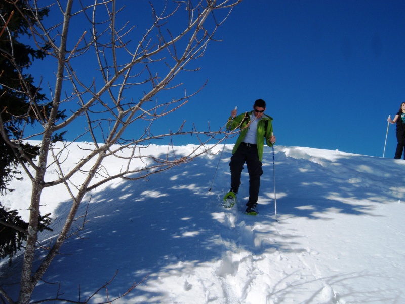 Rando raquette - Le Nord du Vercors (28/02/13 - 03/03/13) Photo_67