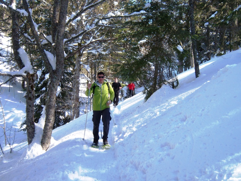 Rando raquette - Le Nord du Vercors (28/02/13 - 03/03/13) Photo_69