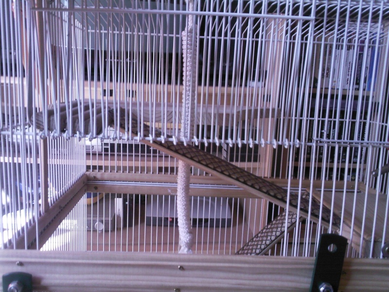 Nouvelle cage !! ^^ Sp_a0510