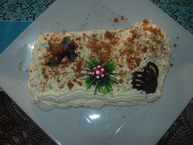 Ma premiere buche de noel Buche_11