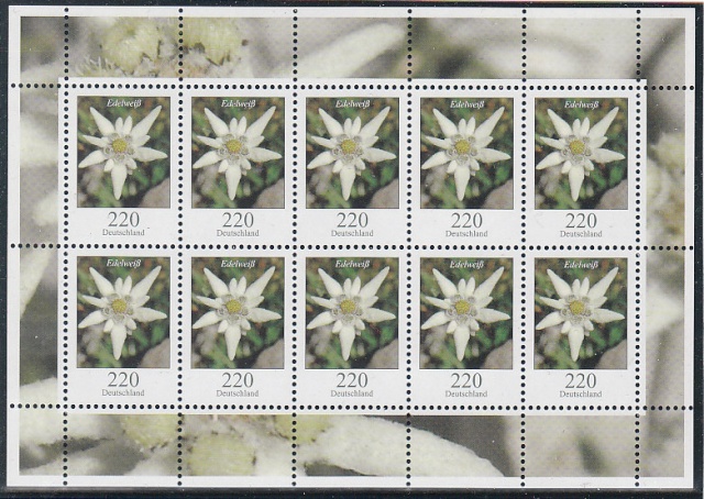 Marken - Blumengruß aus Deutschland - Dauerserie Blumen Img_0089
