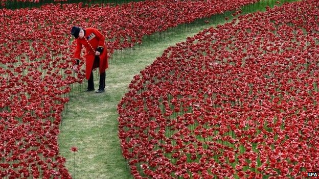 REMEMBRANCE LEST WE FORGET _7671810