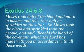 The Cleansing Blood Old Testament and New Exodus10