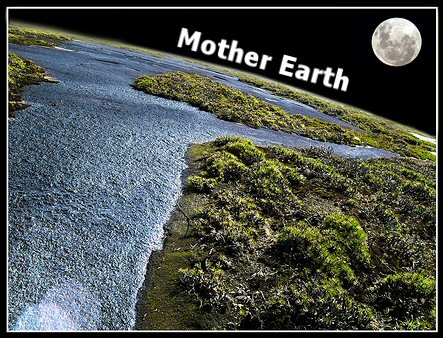 Rules for Mother Earth *Please Read* Me10